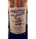 Pastis Aux Plantes